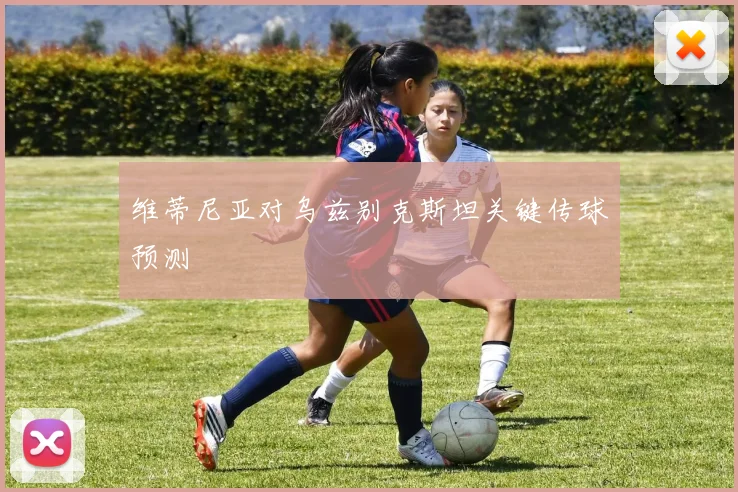 维蒂尼亚对乌兹别克斯坦关键传球预测