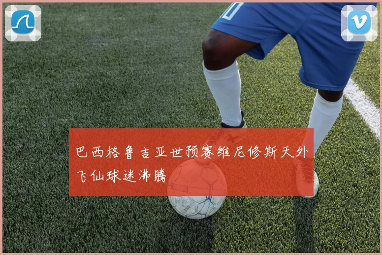 巴西格鲁吉亚世预赛维尼修斯天外飞仙球迷沸腾