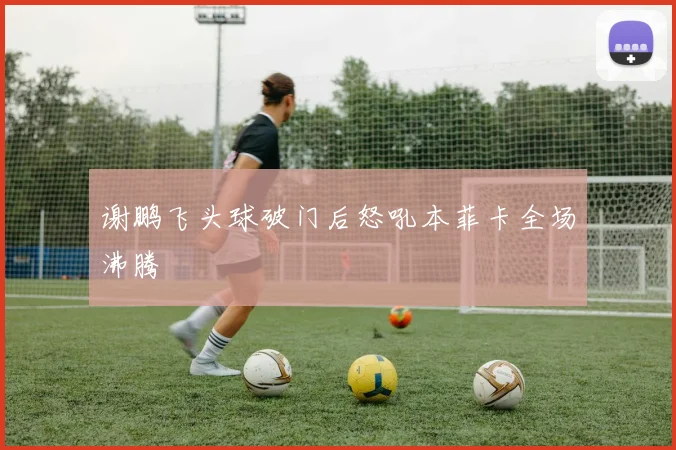 谢鹏飞头球破门后怒吼本菲卡全场沸腾