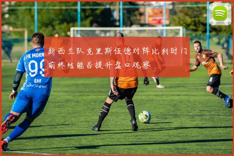 新西兰队克里斯伍德对阵比利时门前终结能否提升盘口观察