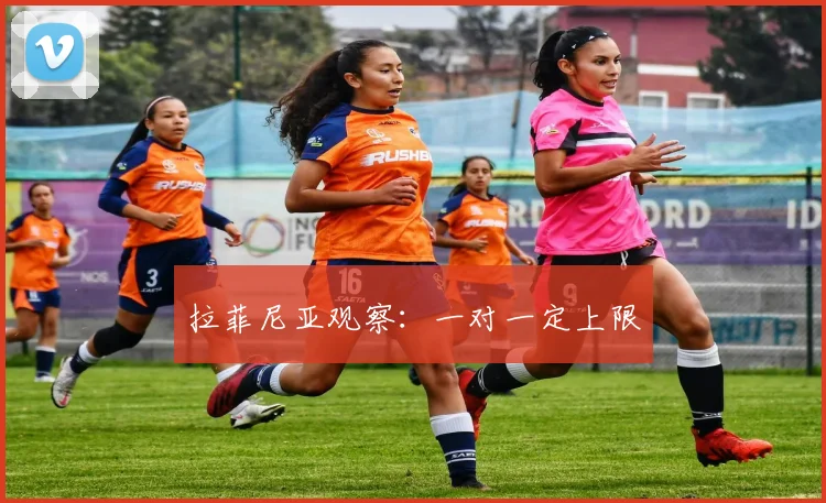 拉菲尼亚观察：一对一定上限